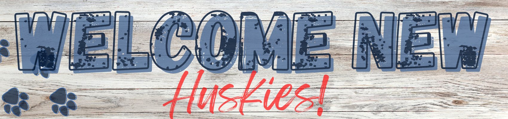 Welcome New Huskies